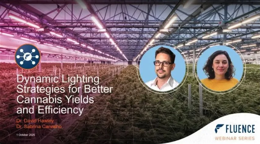 Webinar de diapositivas: "Estrategias de iluminación dinámica" con expertos, luces LED de cultivo para cannabis, telón de fondo de cultivo comercial.