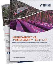 Brochure cover on intercanopy vs. under-canopy LED grow lights for cannabis cultivation.