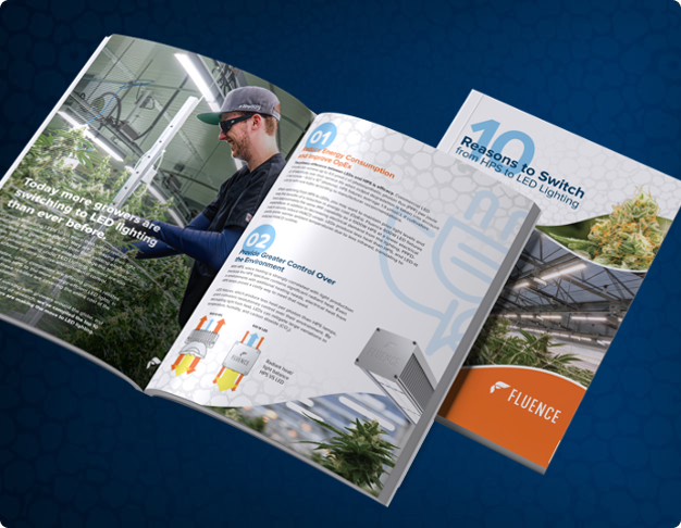 Open brochure on LED grow lights for commercial cannabis cultivation.