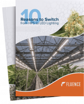 Fluence guide: LED grow lights for commercial cannabis cultivation.