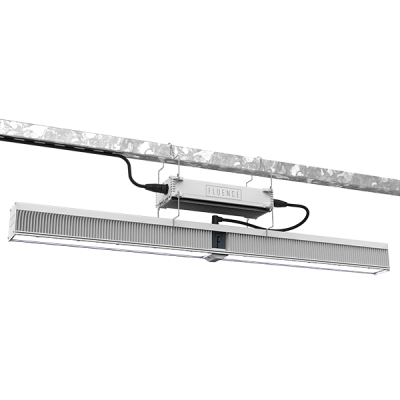 Fluence VYPR 4 LED luz de crecimiento para la instalación de cultivo de cannabis comercial.
