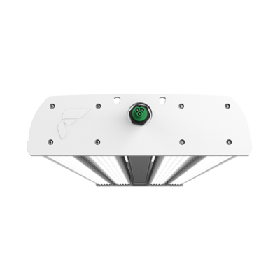 Rectangular LED grow light for cannabis, multiple bars, commercial cultivation.